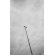 1454272200785_836587